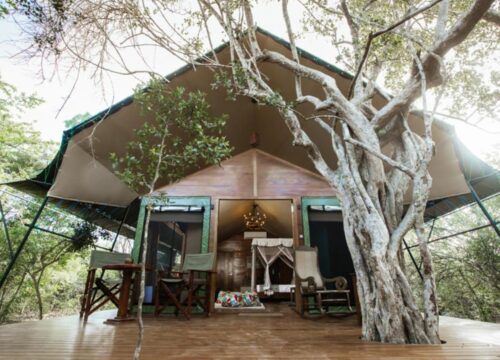 Tribe Yala – Luxury Camping