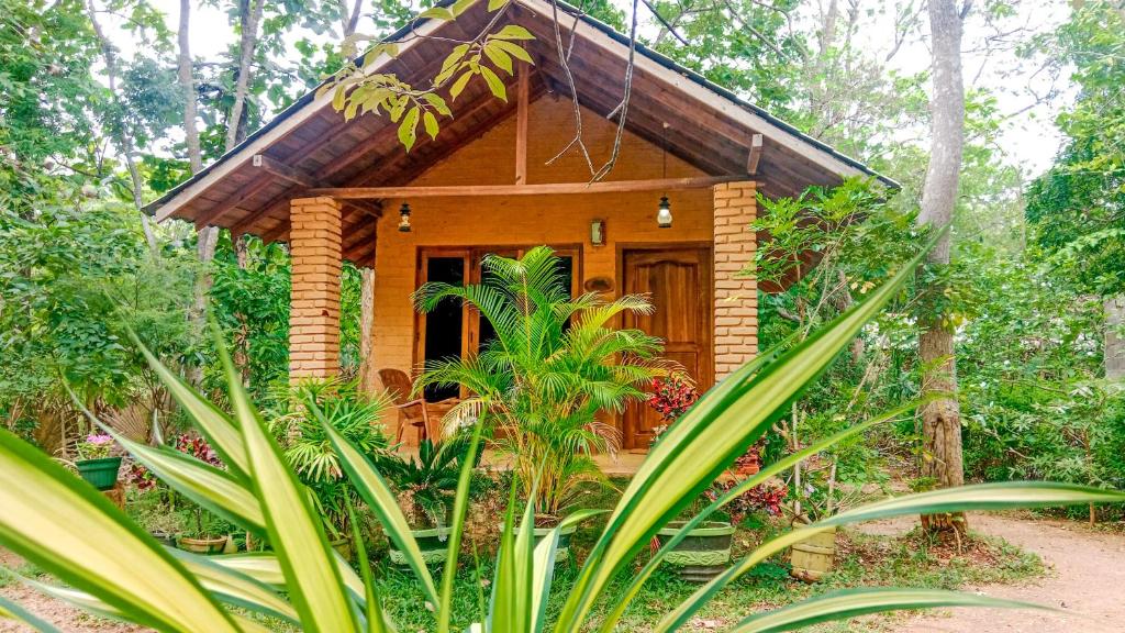 Lotus Eco Villa